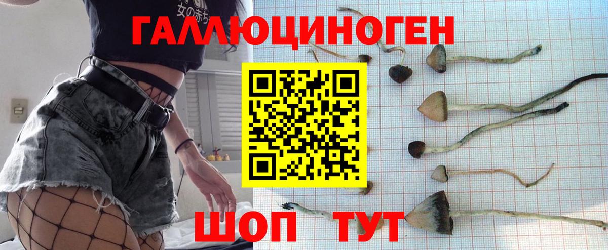 Псилоцибиновые грибы Cubensis  Галлюциногенные грибы Cubensis  Балашов  Вход с VPN 